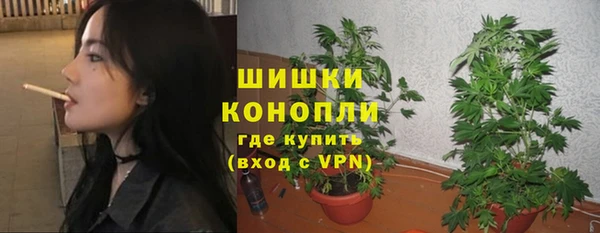стафф Гусев