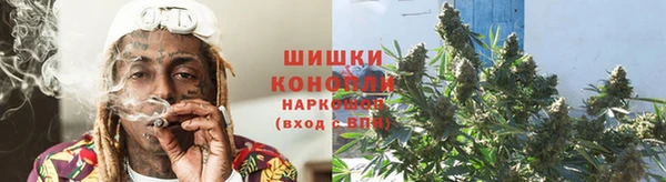 мдпв Дмитровск