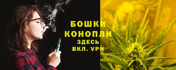 крисы Гусиноозёрск
