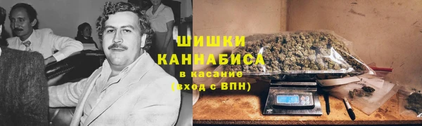 сатива Дмитриев