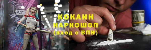 стафф Гусев