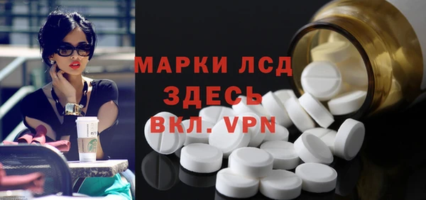 стафф Гусев