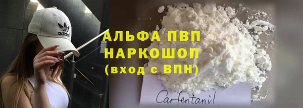 стафф Гусев