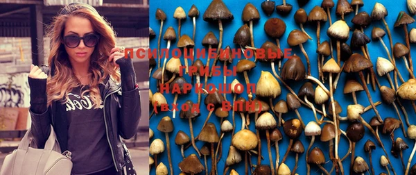 крисы Гусиноозёрск