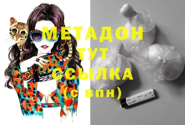 сатива Дмитриев