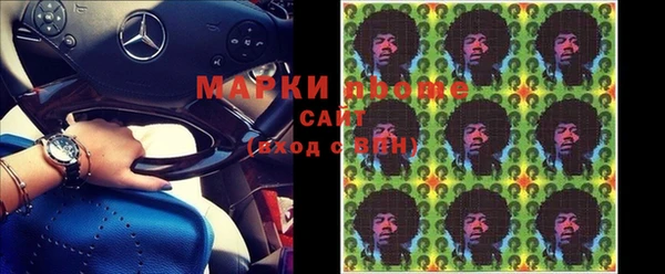стафф Гусев
