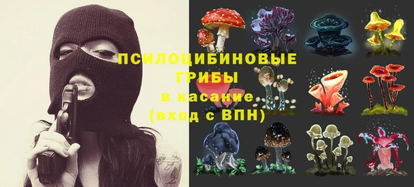 крисы Гусиноозёрск