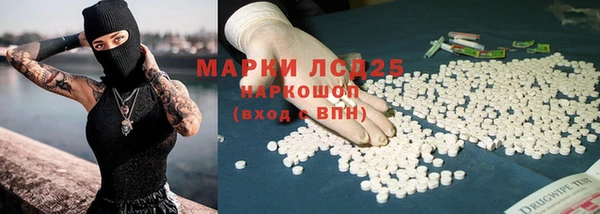 стафф Гусев