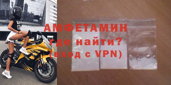 стафф Гусев