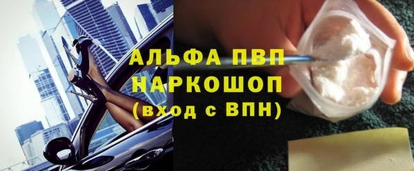 стафф Гусев