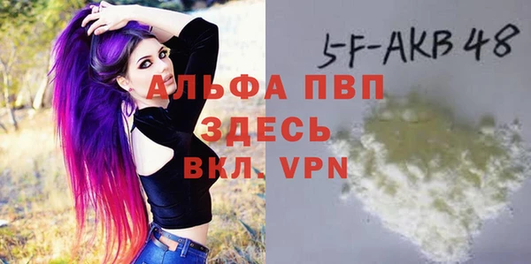 стафф Гусев