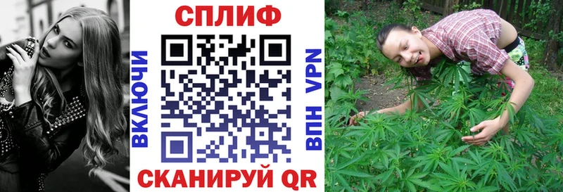 Бошки Шишки планчик  купить закладку  Дрезна 